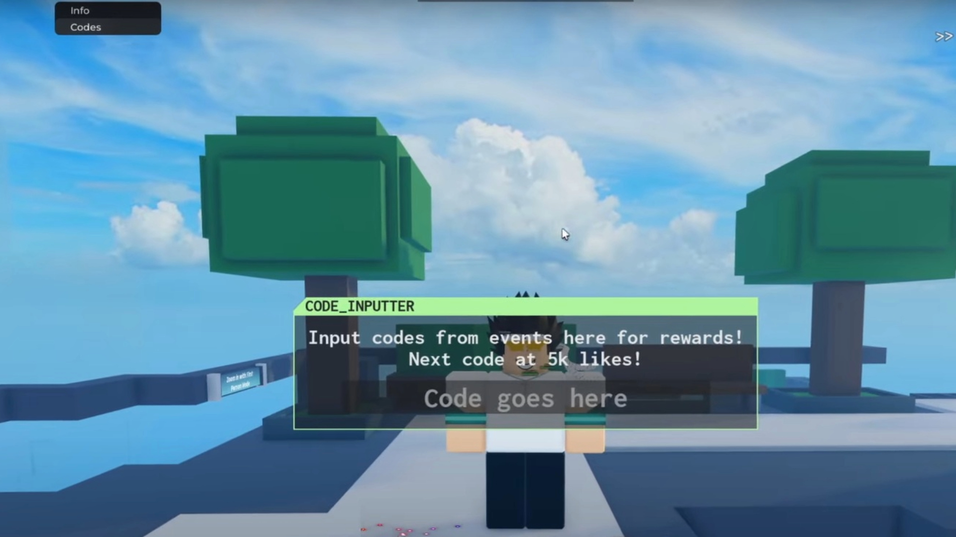 Enter the codes in this box