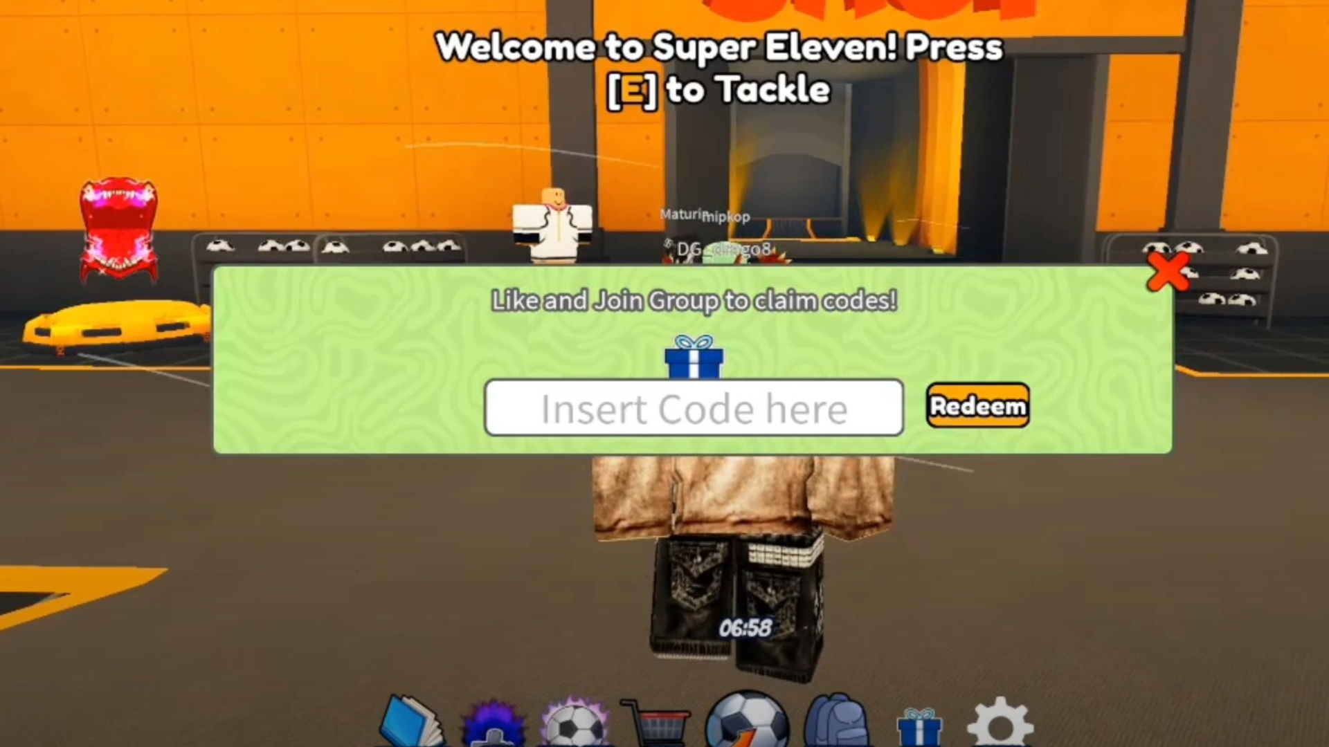 Enter the codes in this box