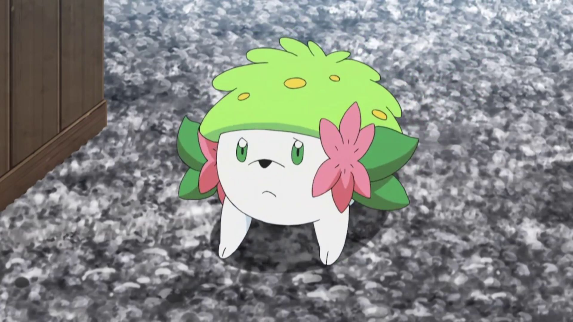Mallow's Shaymin in the anime (Image via TPC)