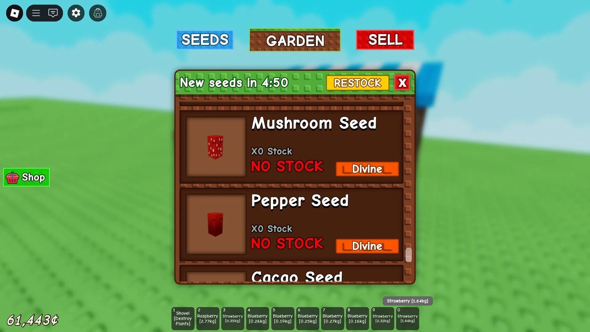 Plant seeds
