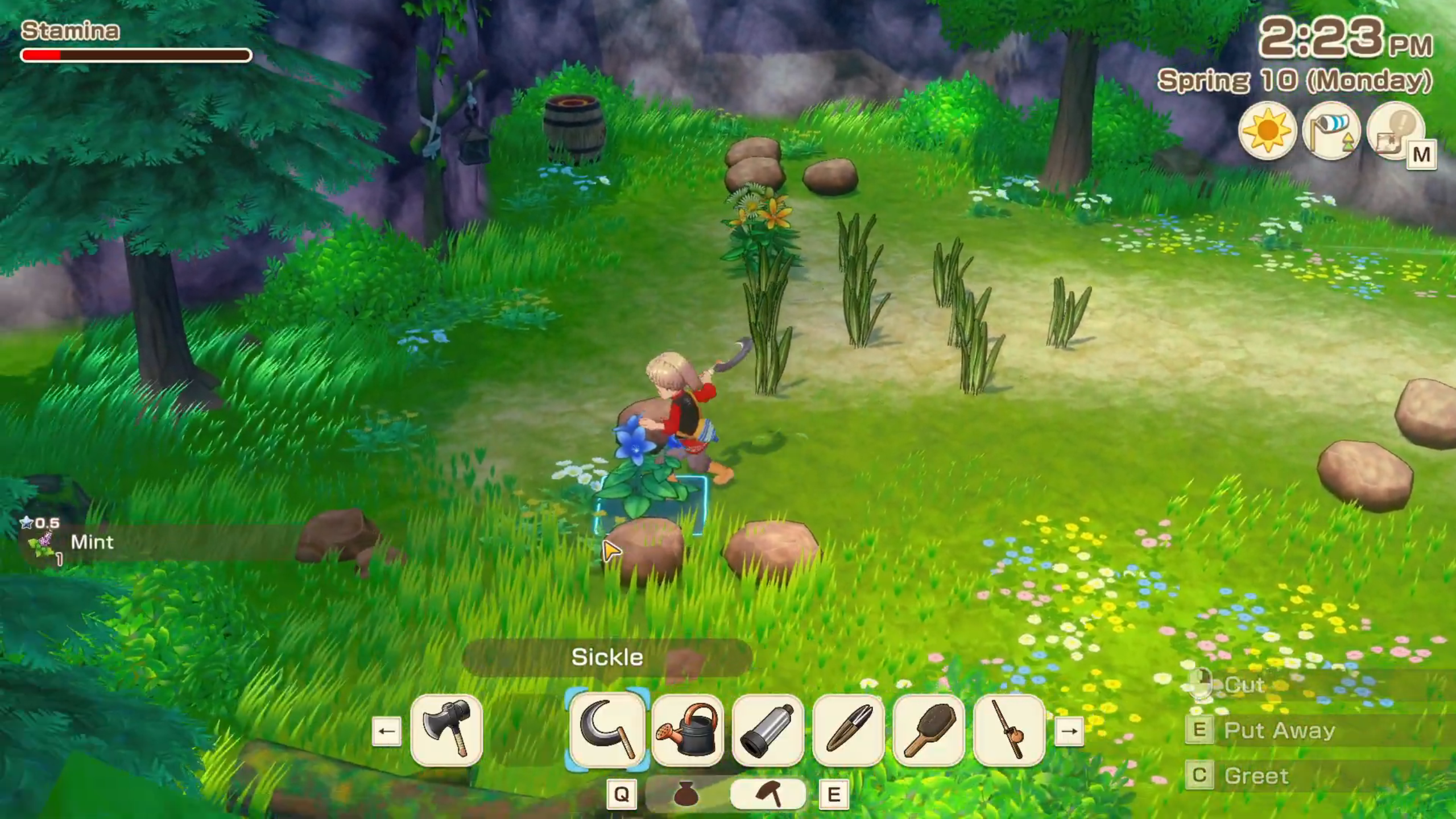 Harvest flowers to sell in the bazaar (Image via XSEED Games)