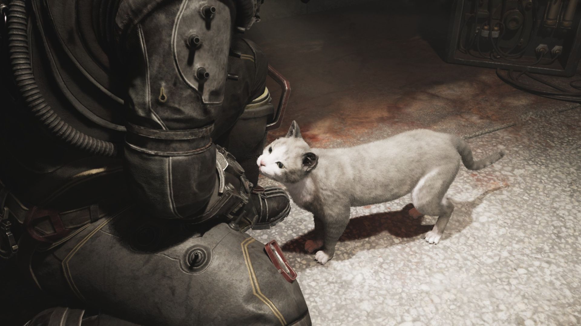 Cronos The New Dawn: All Cat Locations (Source: Bloober Team)