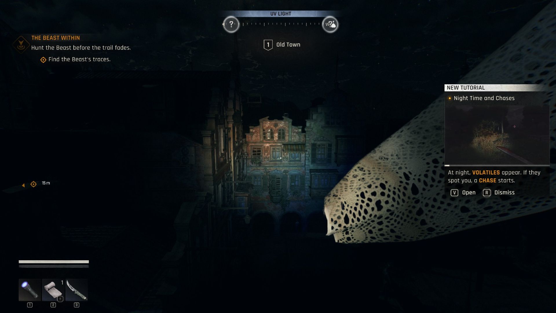 Head into the night and find the Beast (Source: Techland)
