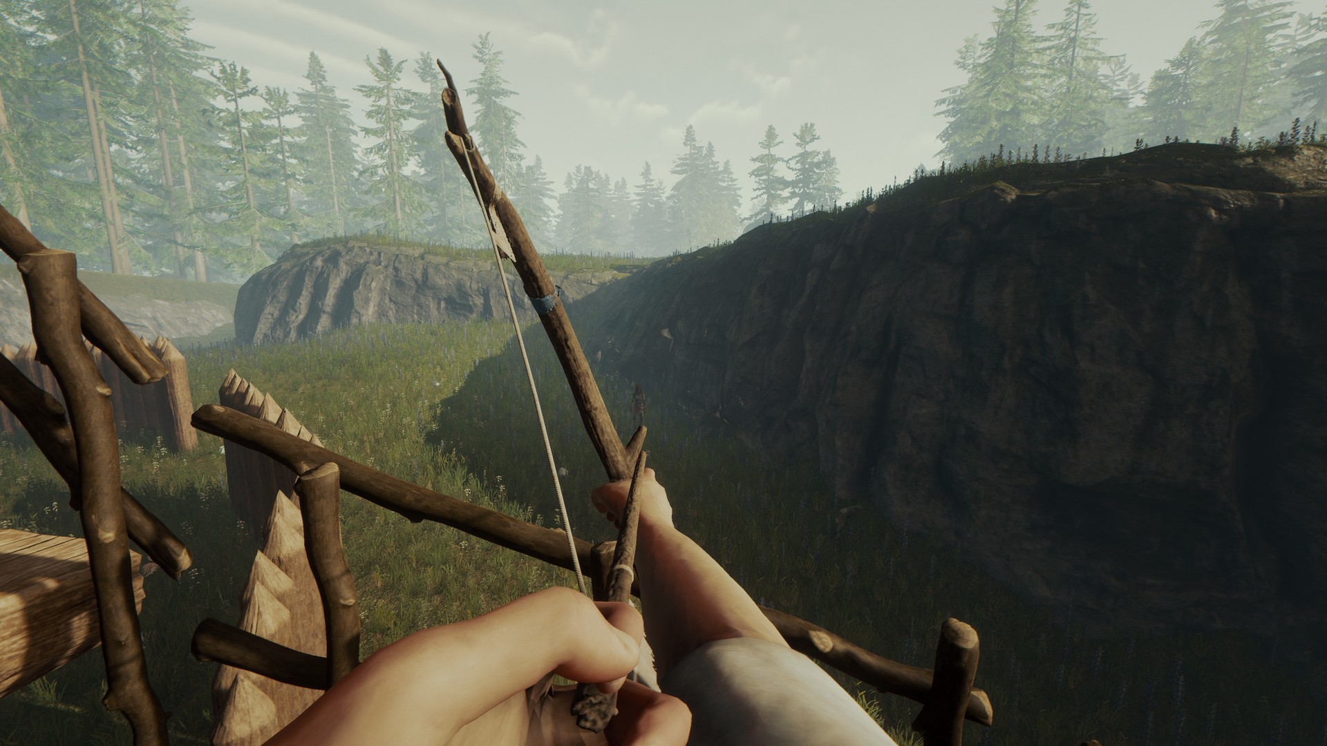 Screenshot from the game: The Forest