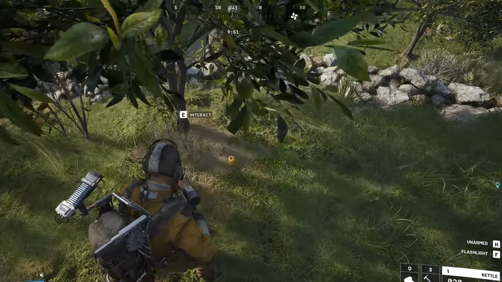 Find Lemons and Apricots in Natural areas (Image via Embark Studios)