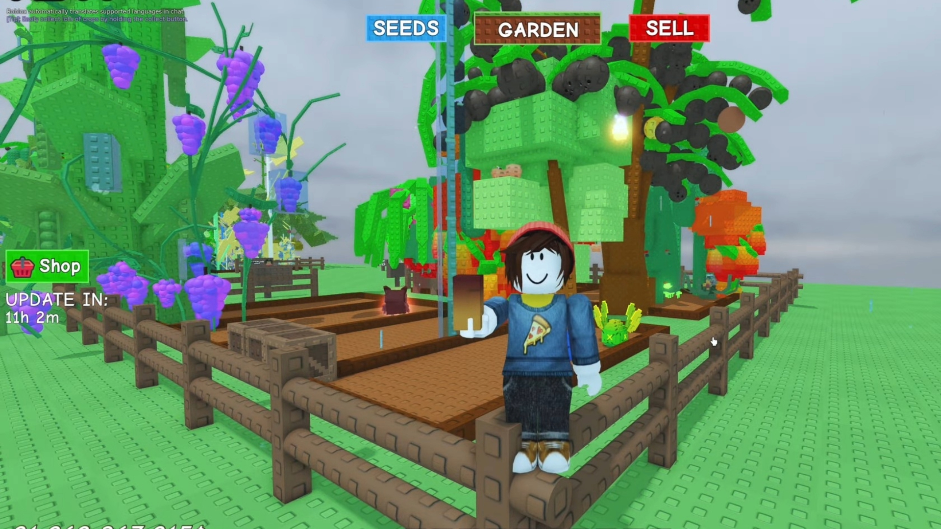 Cacao Seed in Grow a Garden