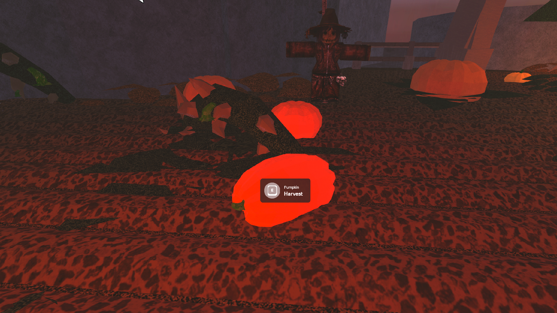 Harvest pumpkins (Image via Roblox Corporation)