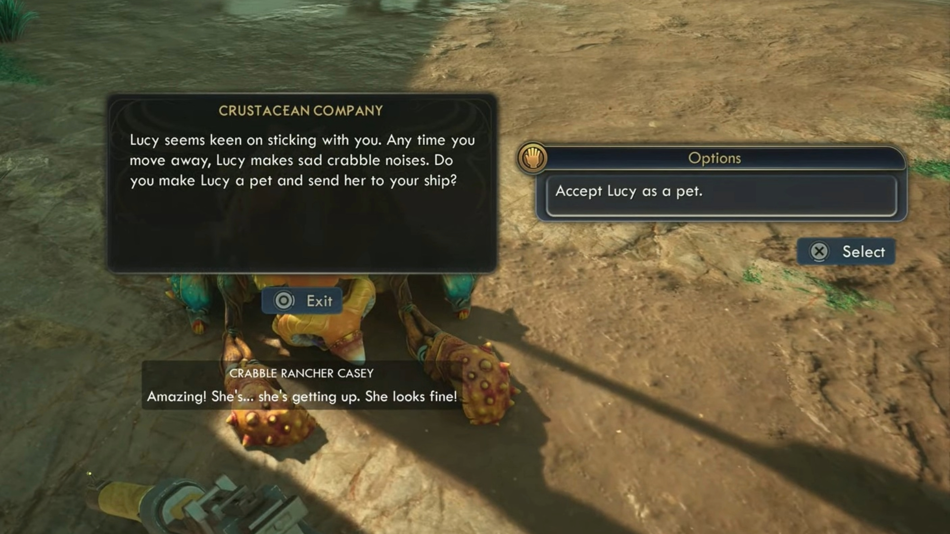 Lucy the Crabble is one of the earliest pet unlocks