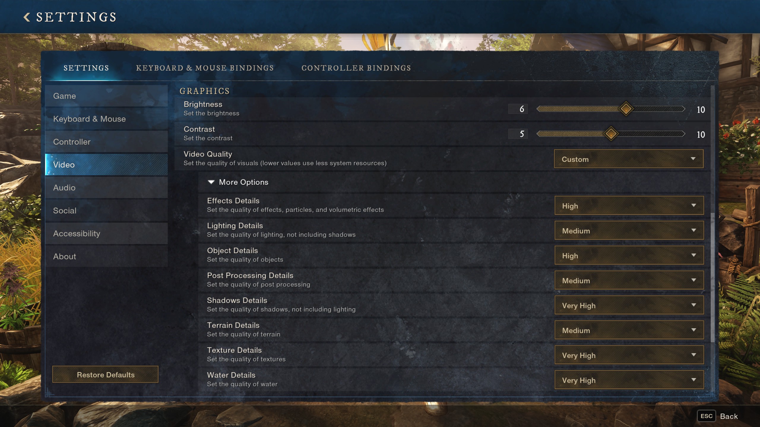 New World Graphics Settings page 2 (Image via Amazon Games)