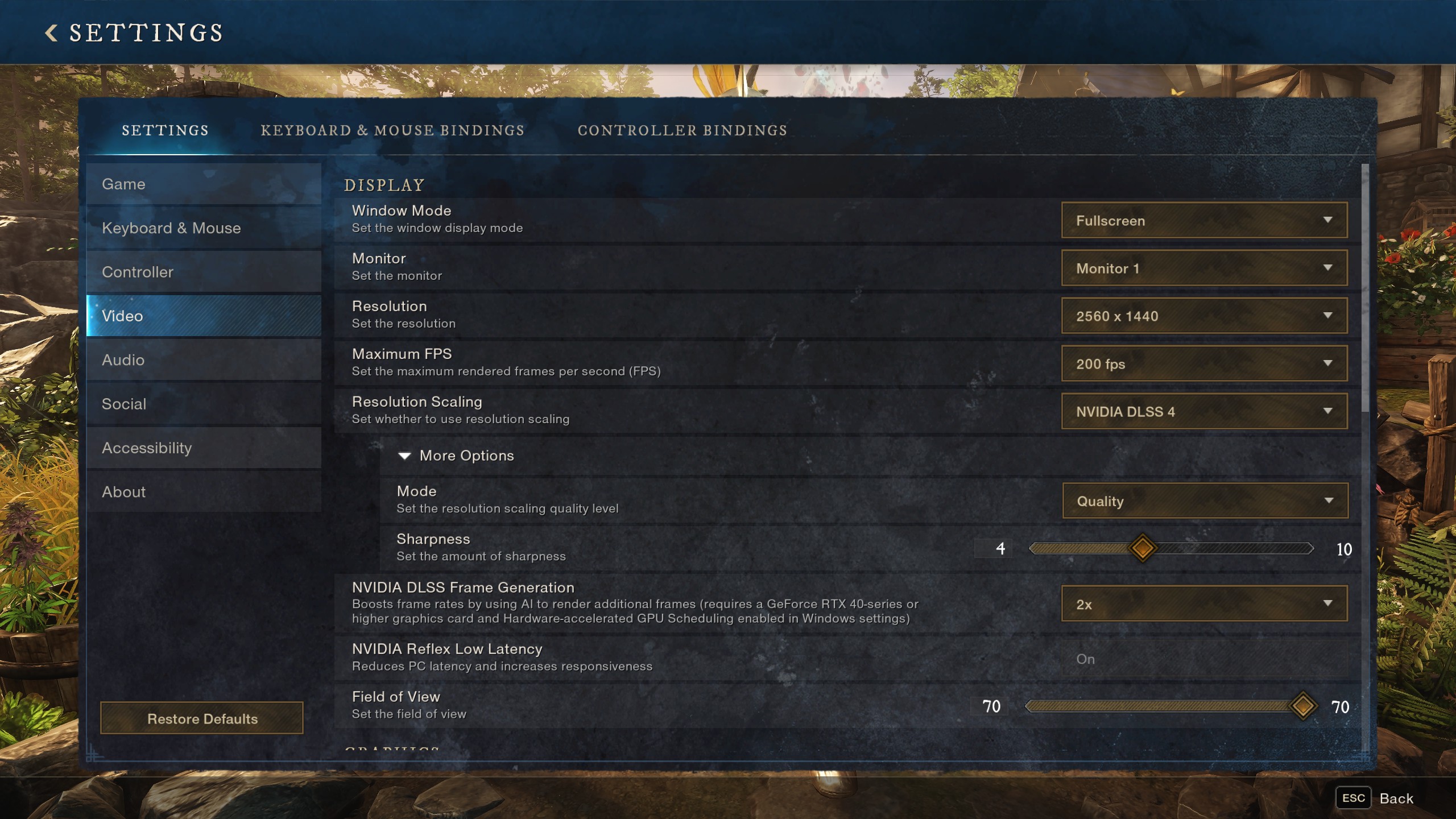 New World Graphics Settings page 1 (Image via Amazon Games)