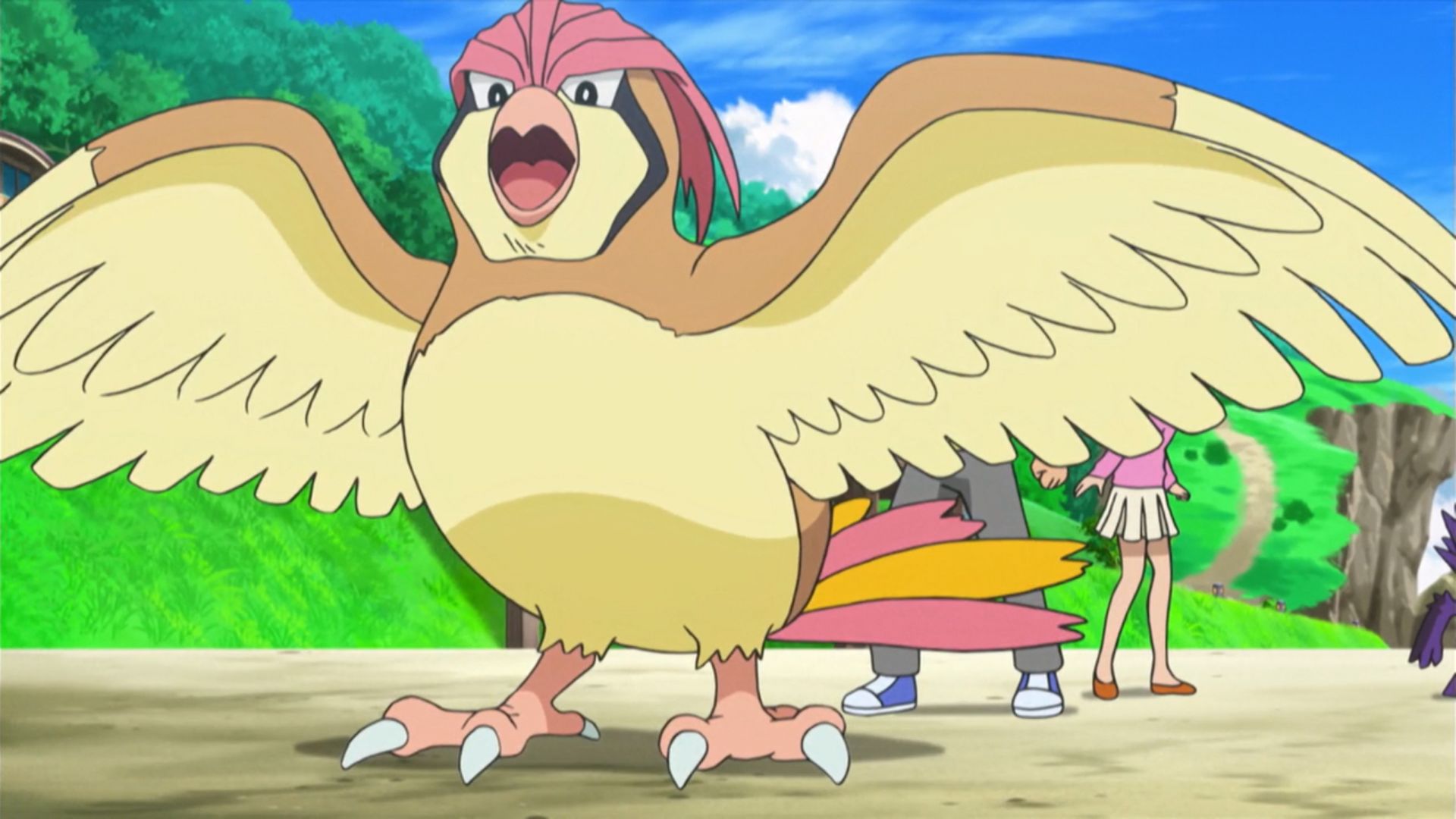 Pidgeotto in the anime (Image via TPC)