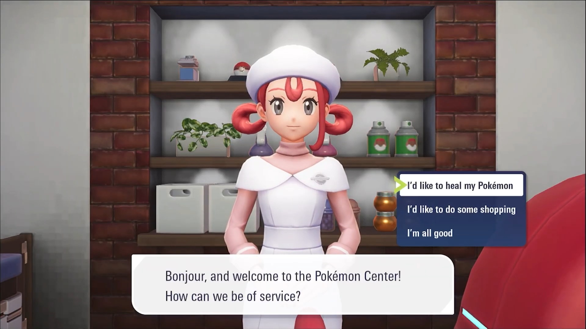 Healing Pokemon in Pokemon Center