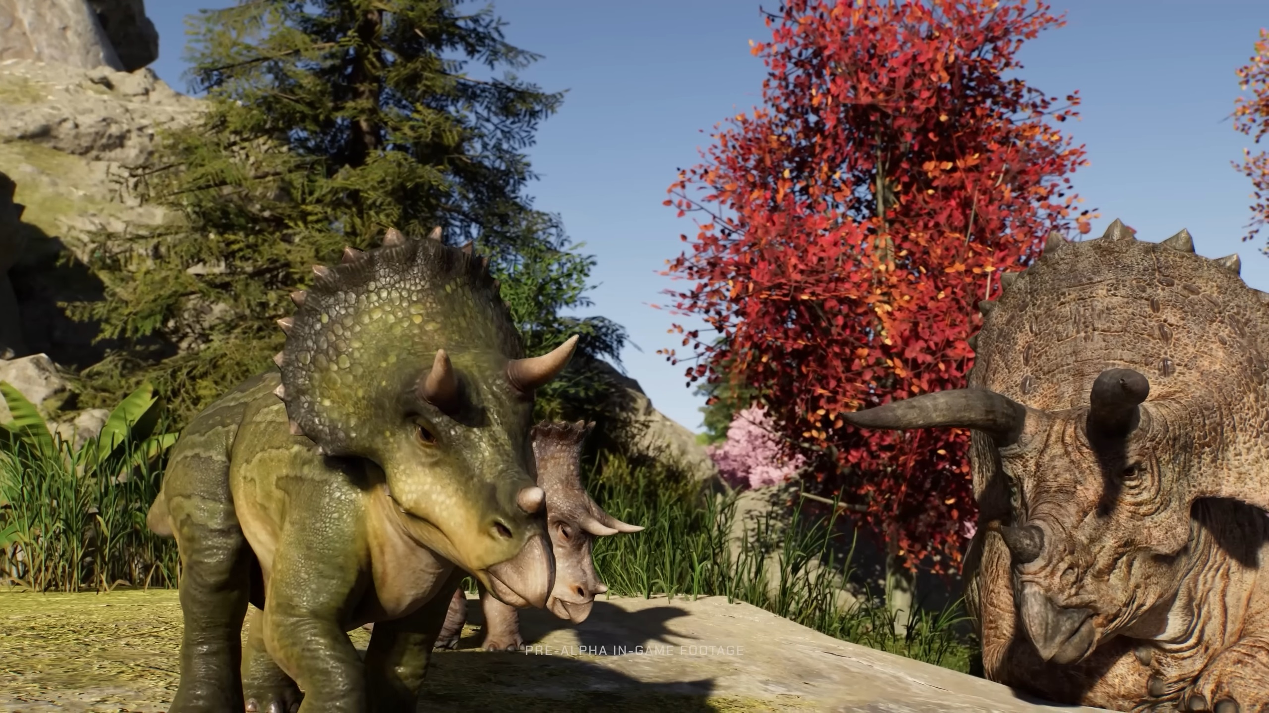 Picture of Baby Triceratops in Jurassic World Evolution 3