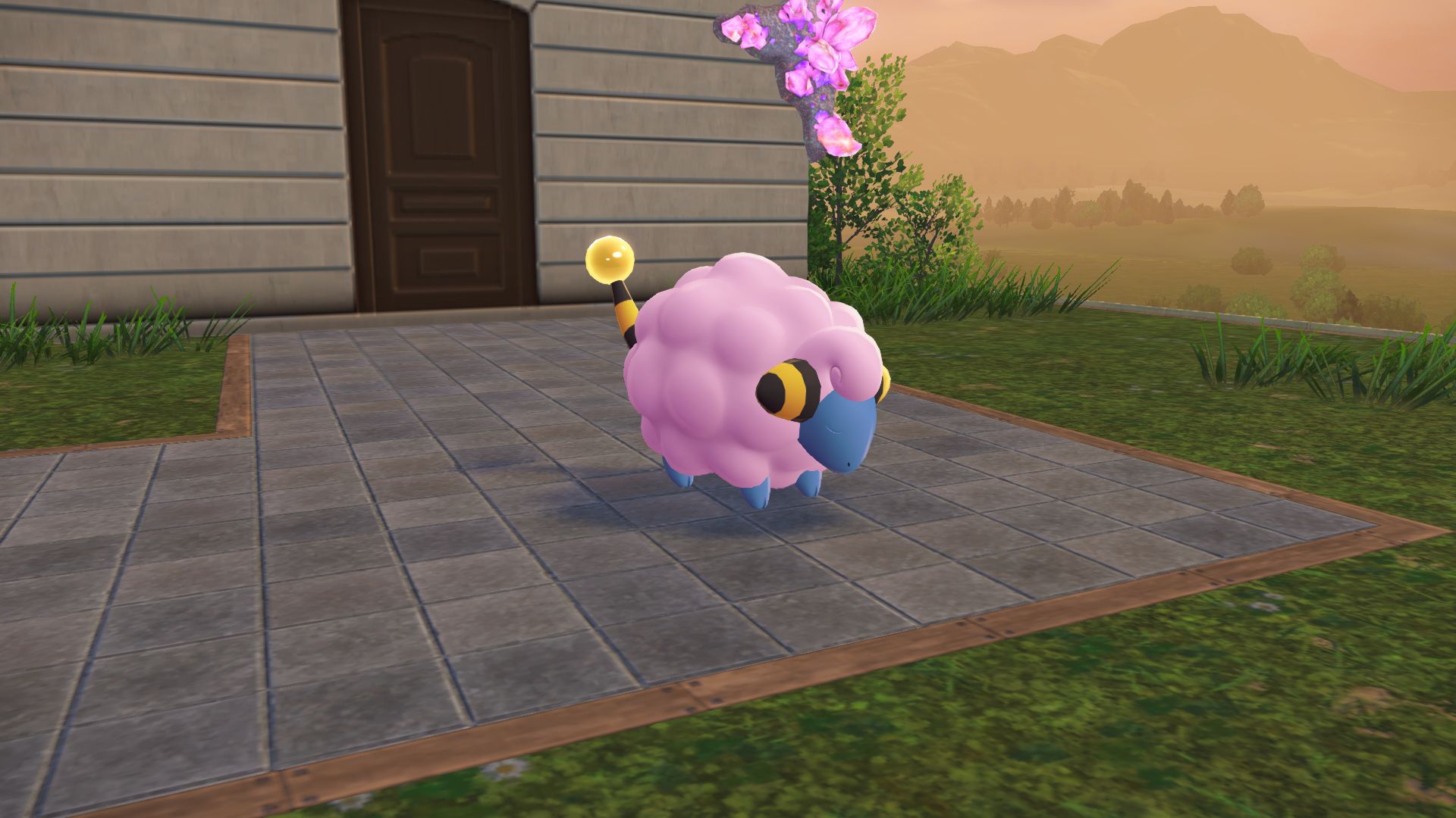 Shiny Mareep in Pokemon Legends Z-A (Image via The Pokemon Company)