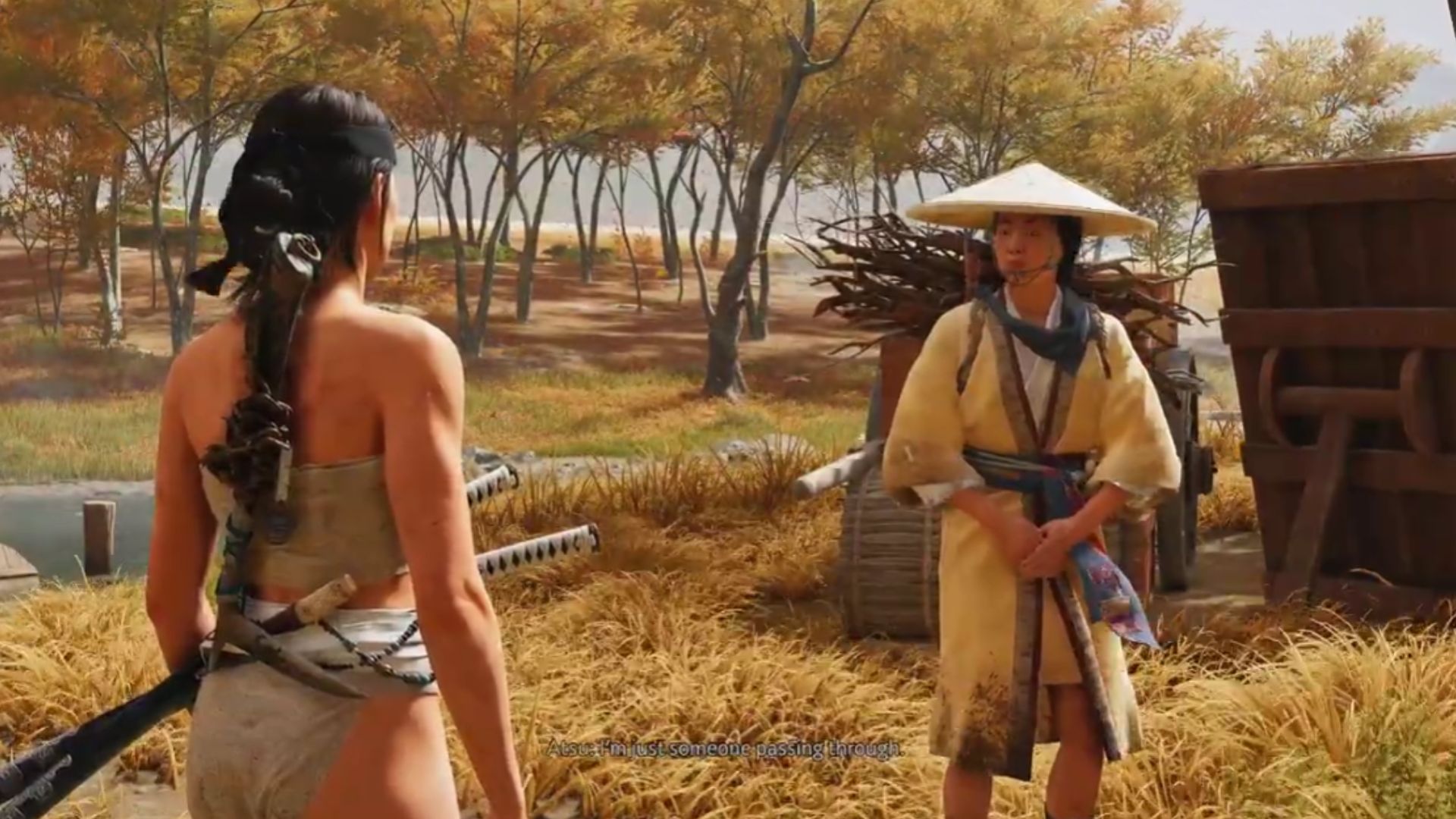 Talk to the settler (Source: Sony Interactive Entertainment | WoW Quests/YouTube)