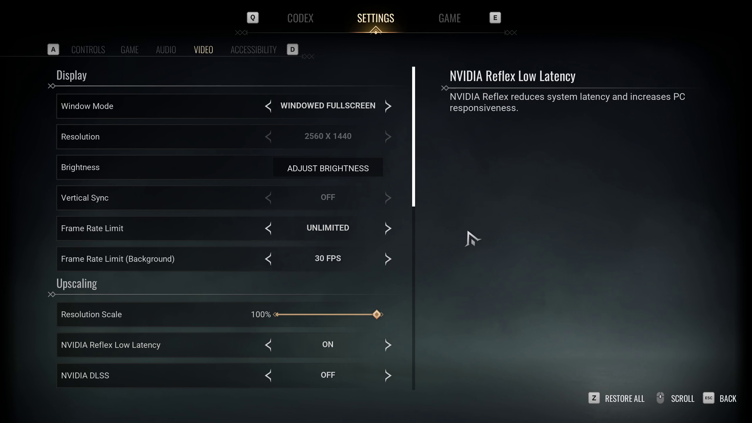VTM Graphics Settings 2 (Image via Paradox Interactive)