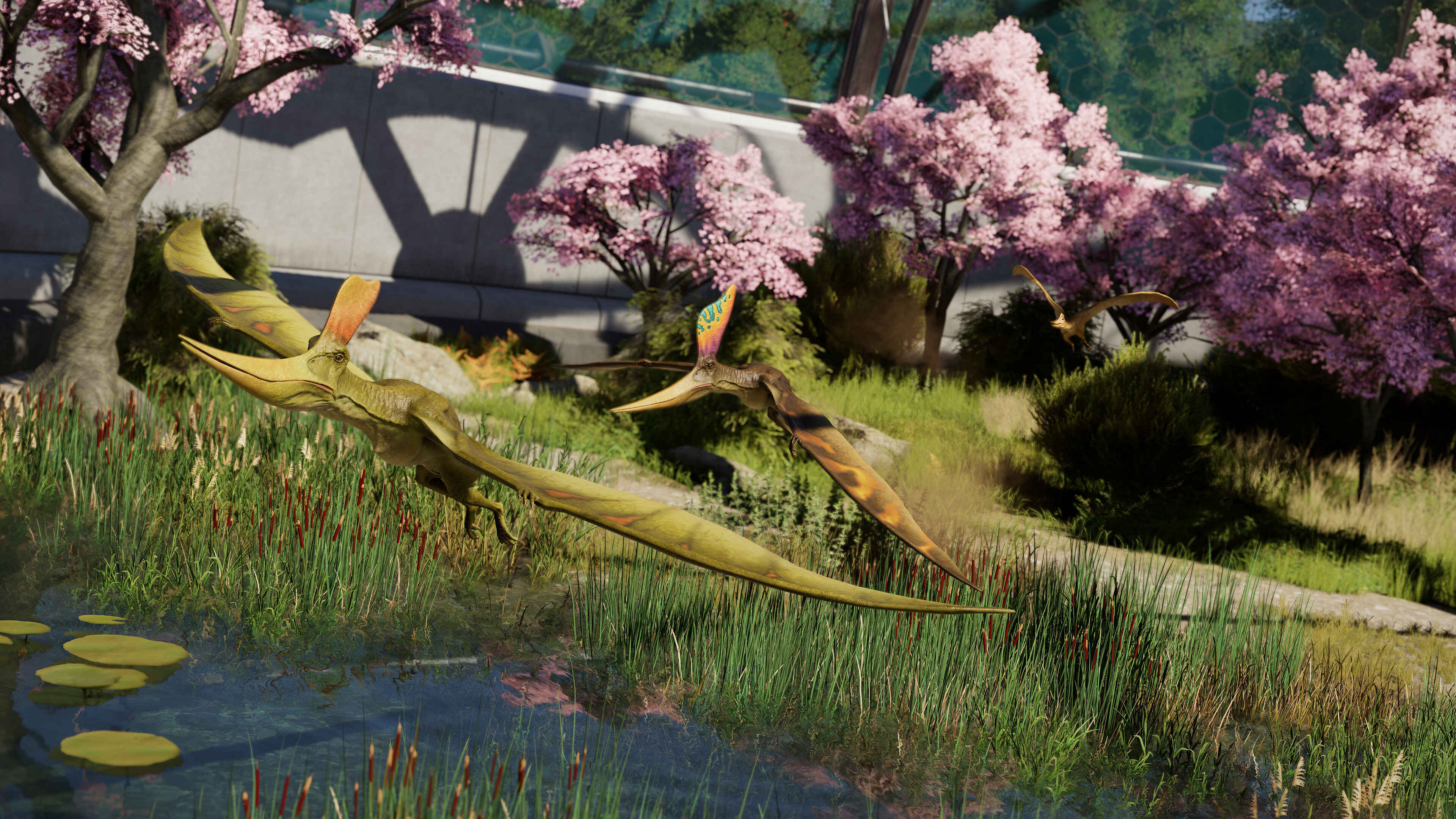Take photographs (Source: Frontier Developments)