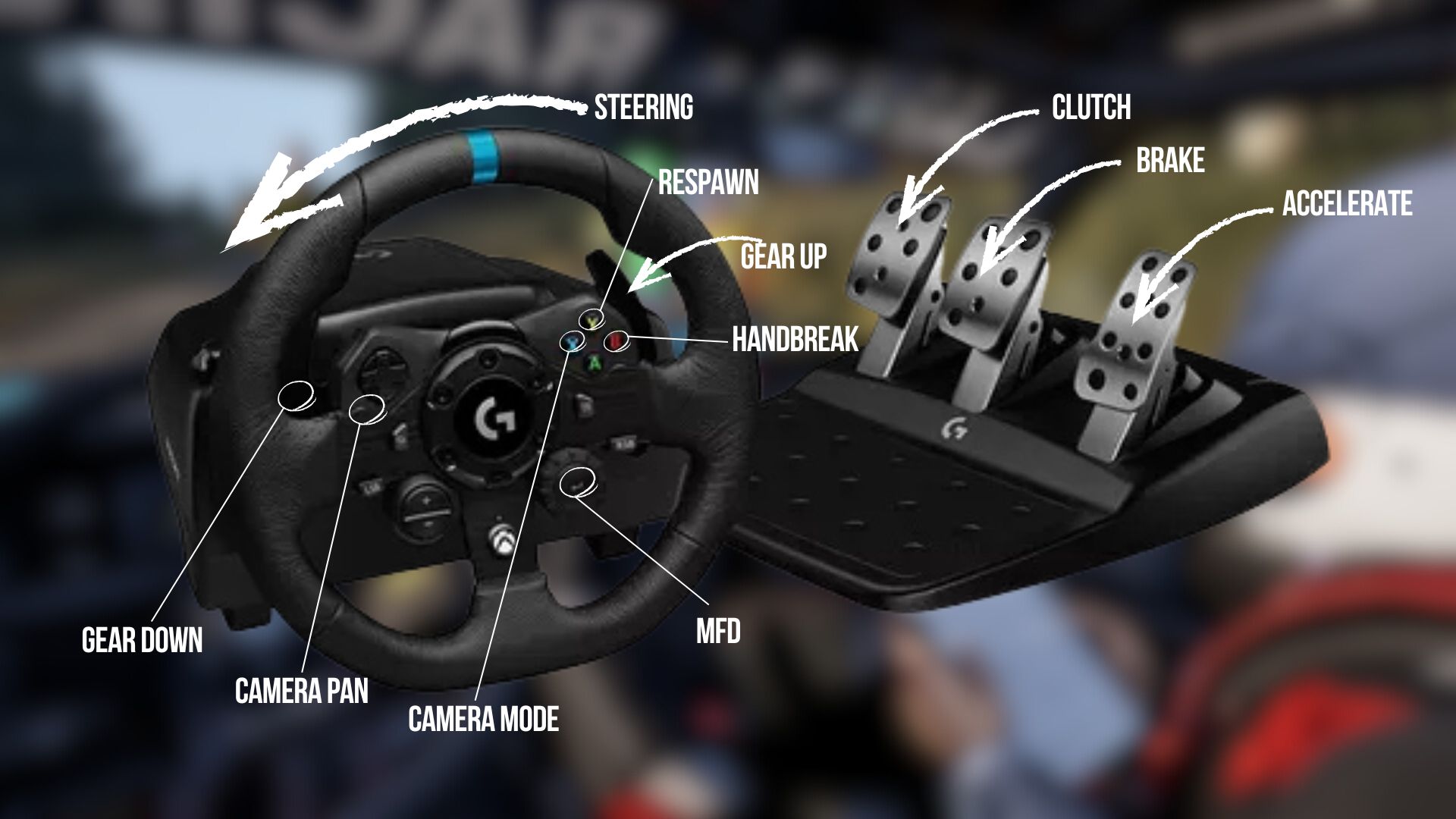 Assetto Corsa Rally Best Racing Wheel Setup Reference