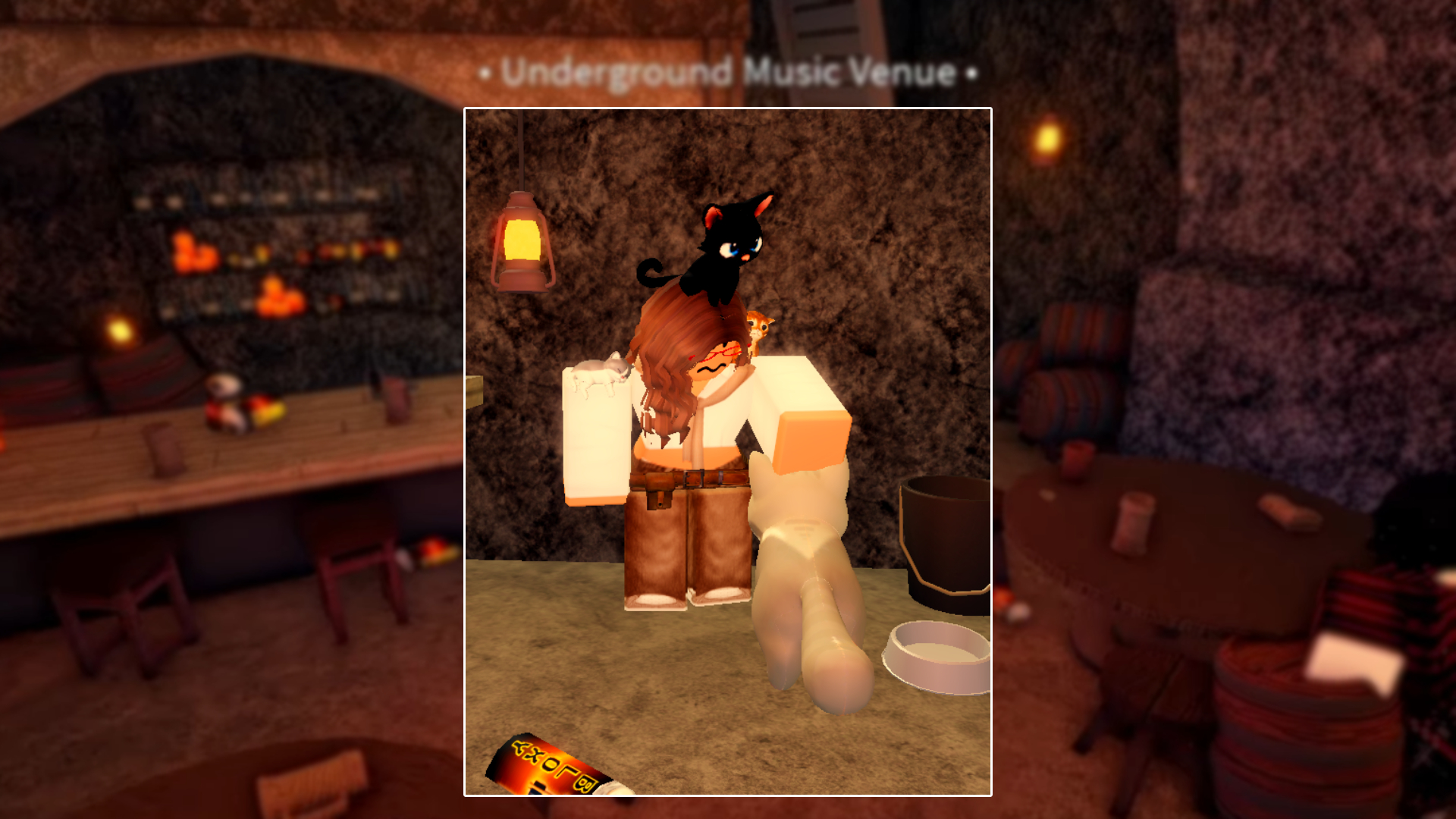 Crazy Cat Lady Riddle Answers in Fisch (Image via Roblox Corporation)