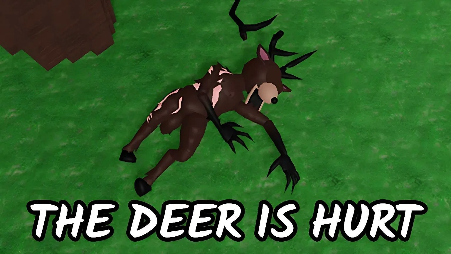 Help the Deer recover from its injuries