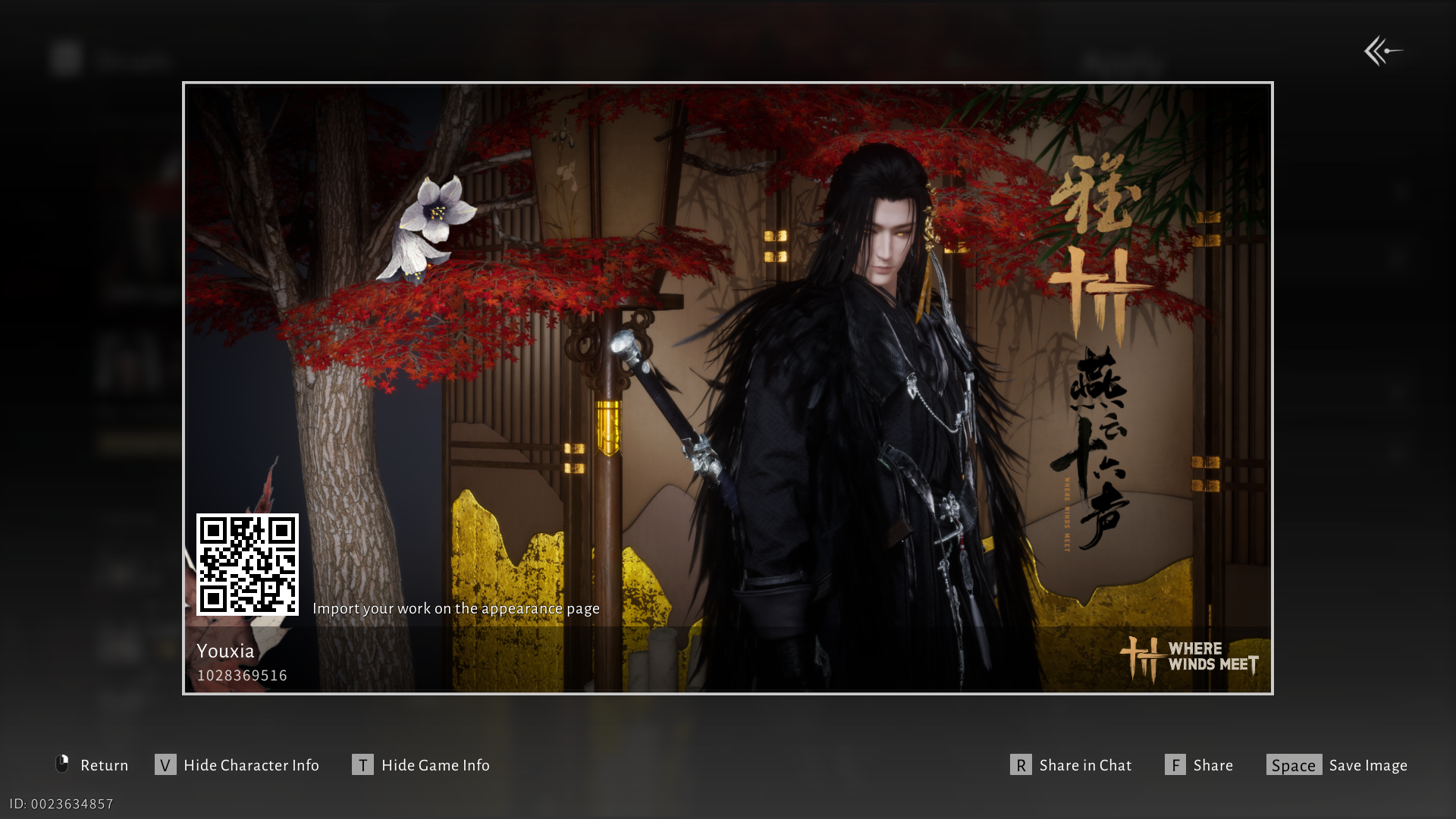 Male character customization code 2 in Where Winds Meet.