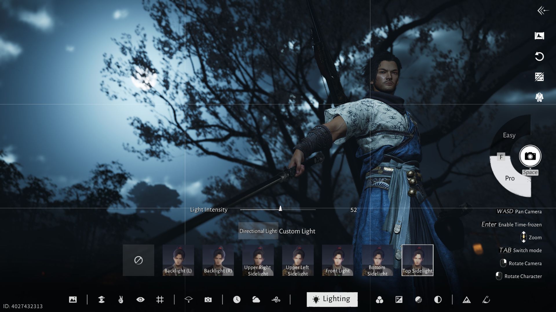 Pro Photo Mode Features in Where Winds Meet - Gridlines