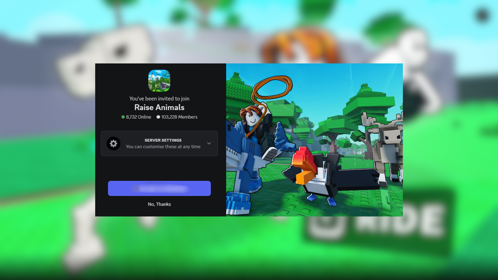 The Discord invitation of Raise Animals (Image via Roblox Corporation)