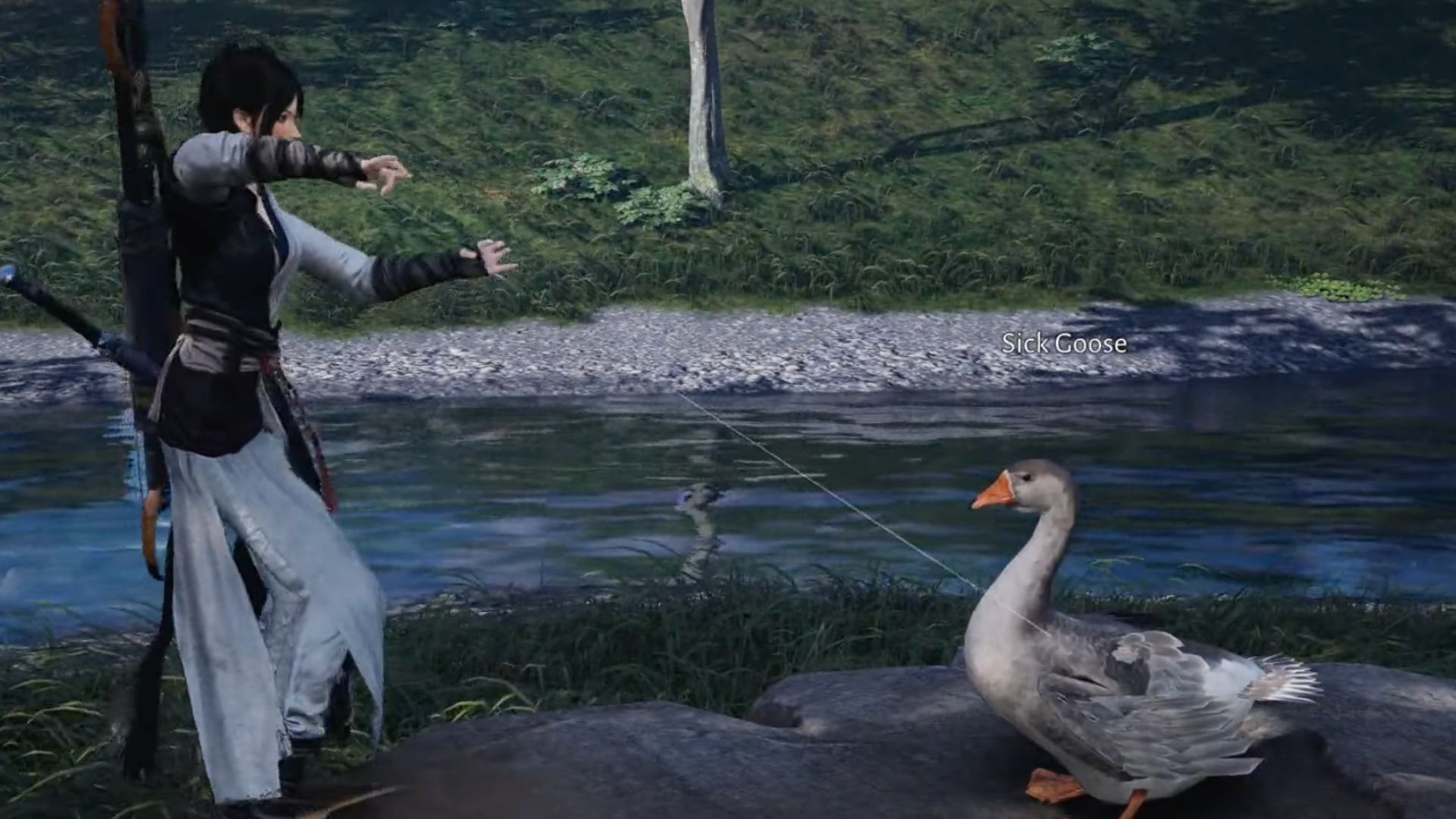 Use both Career Notebooks and Healer Giftboxes to heal the Goose. (Image via NetEase Games)