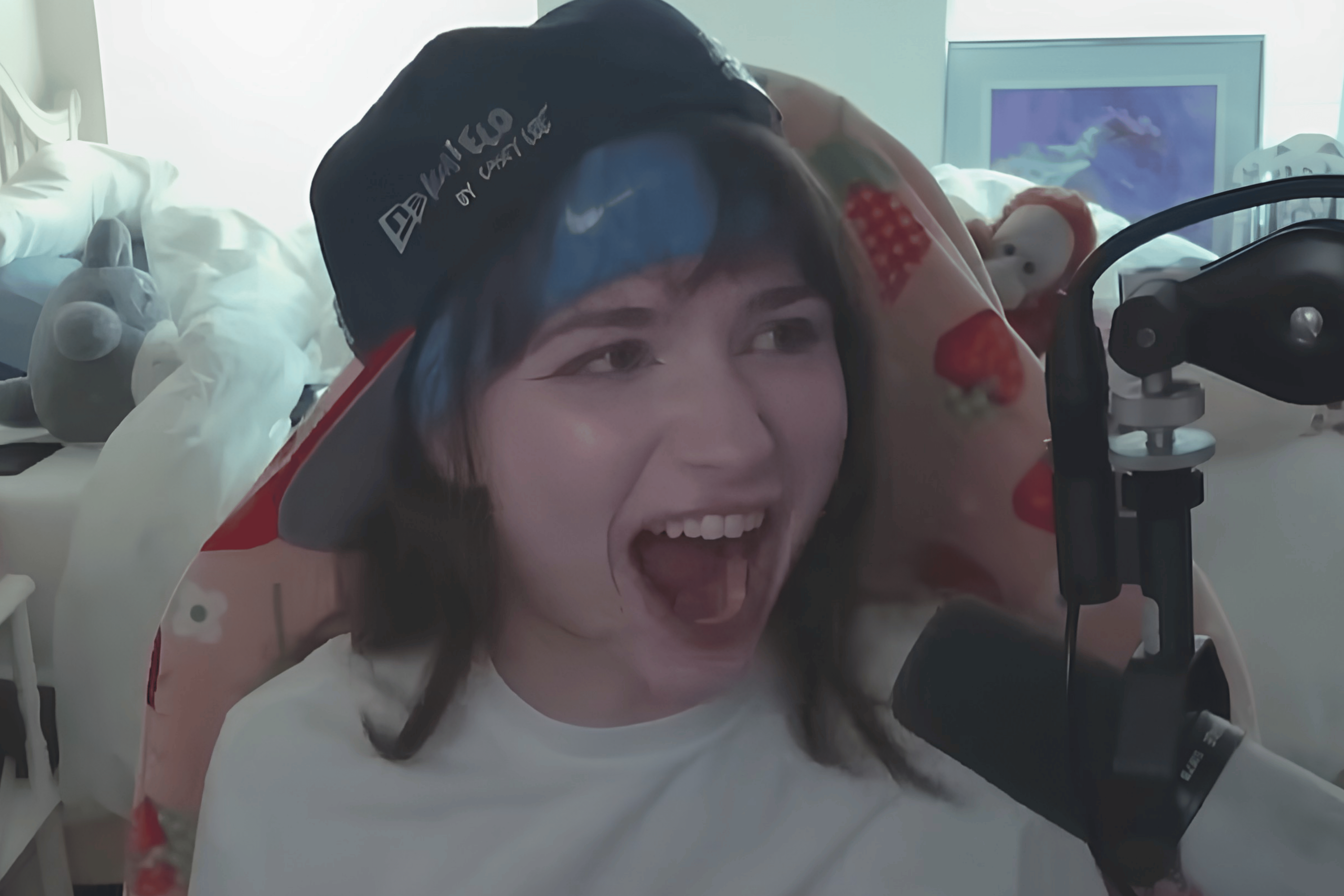 Streamer Prima Paige accidentally damaged a Ferrari 458 Italia on August 8, 2026, after Streamer Prom.