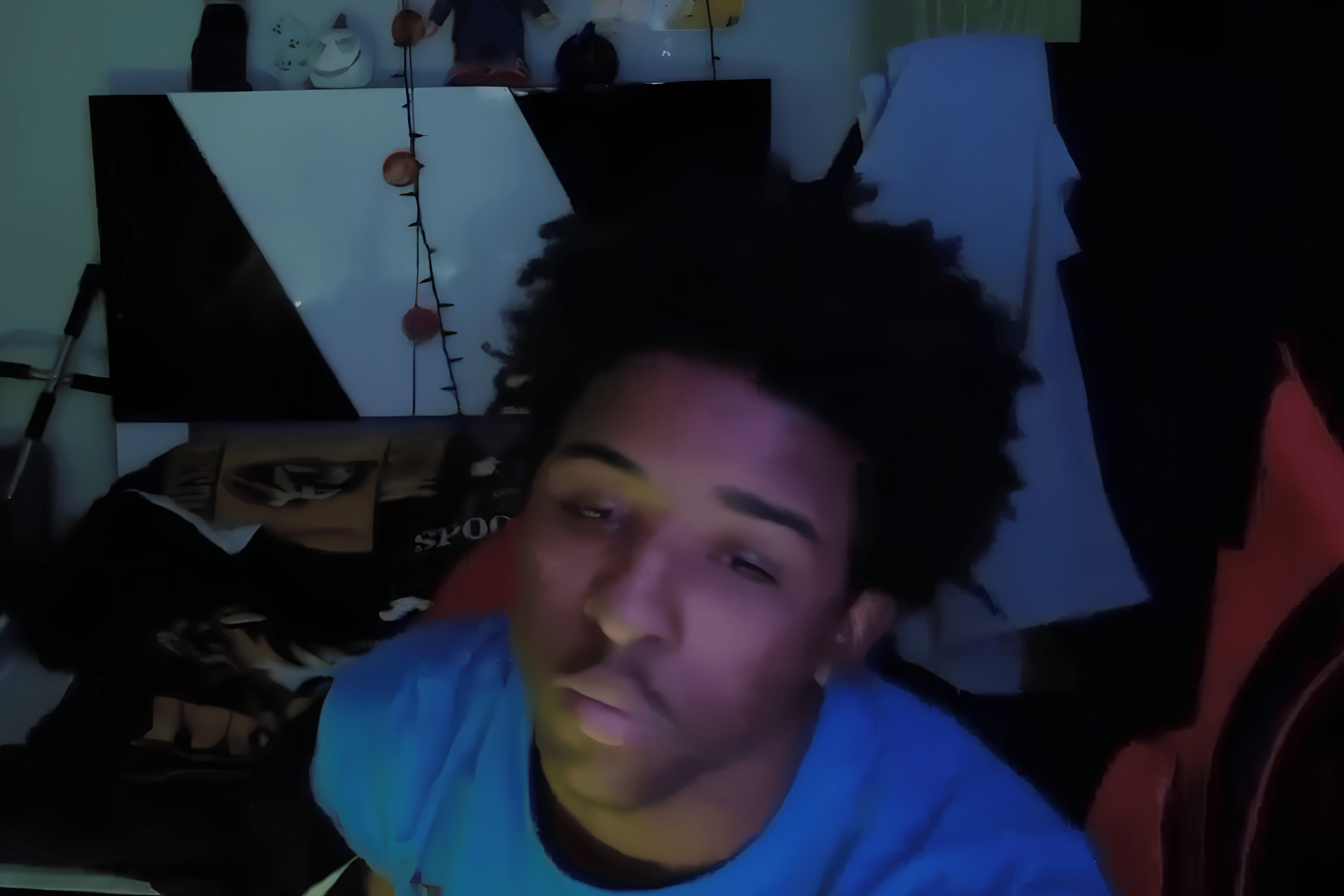 On August 20, 2026, streamer Nitro_Camden was allegedly assaulted by his mother during a live stream.