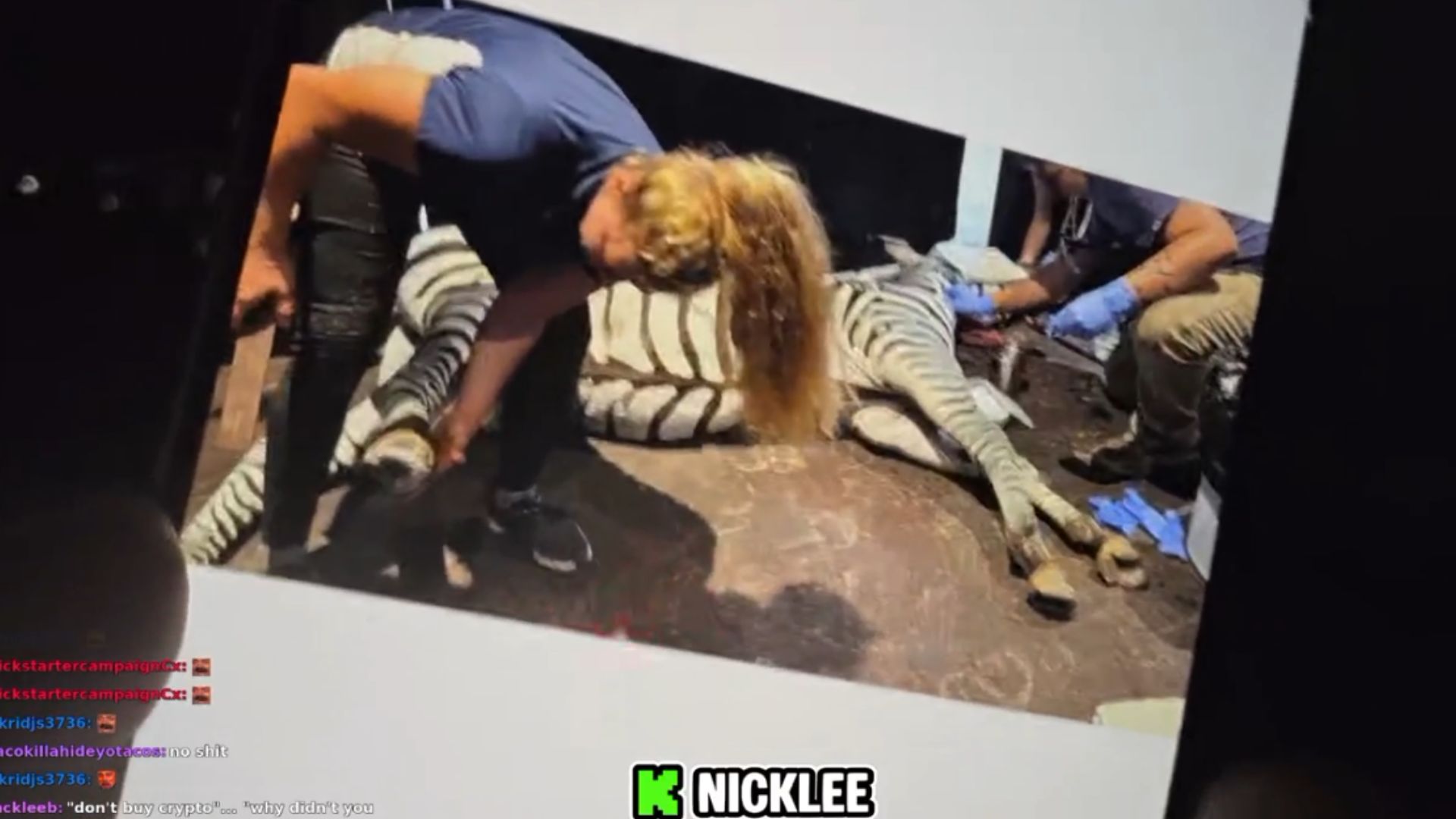 Nick Lee called the death of his $100k zebra a "very bad investment" (Source: NickLee/Kick)