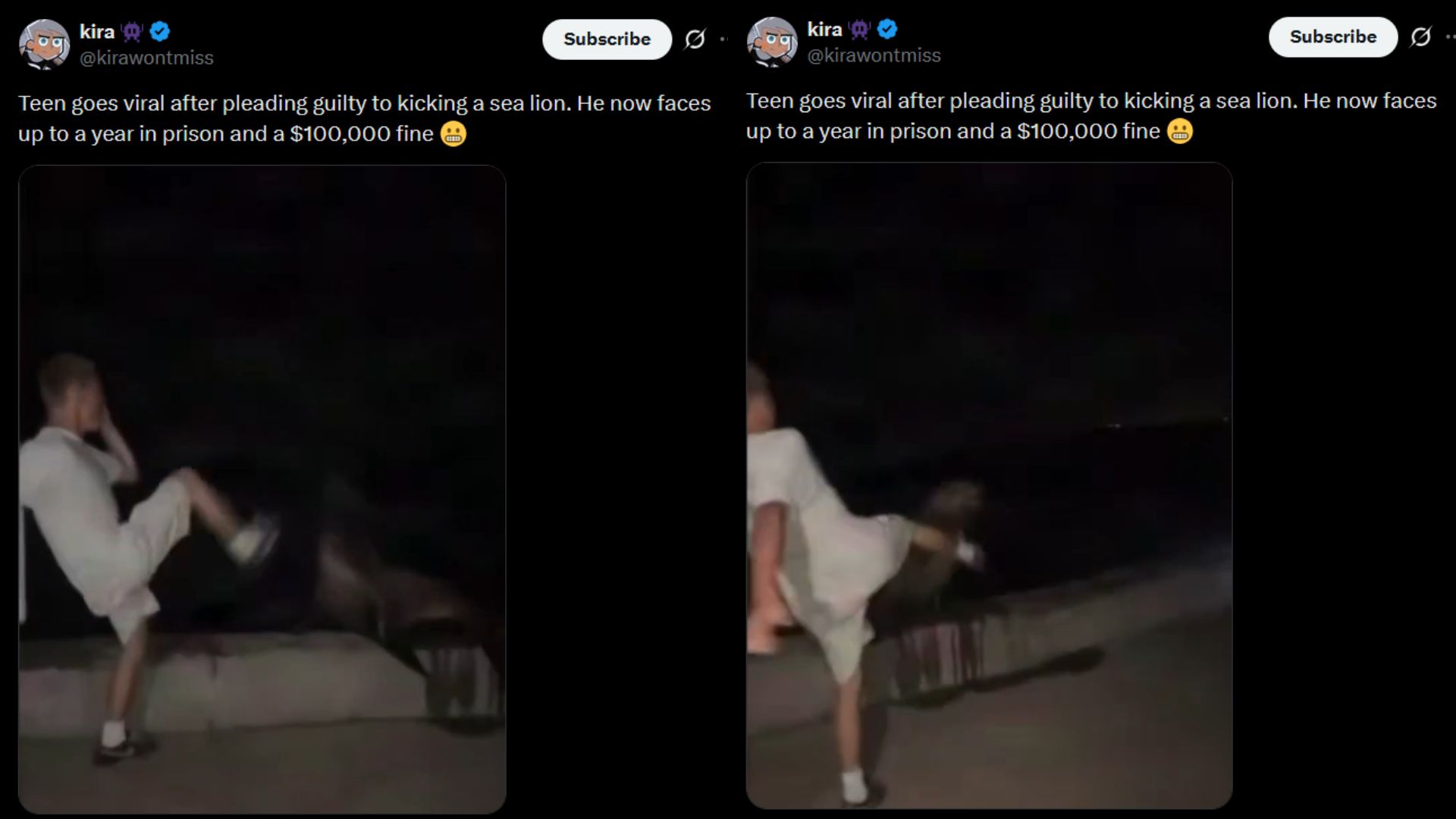X user @kirawontmiss shares a clip of Muehl kicking the sea lion (Source: @kirawontmiss/X)