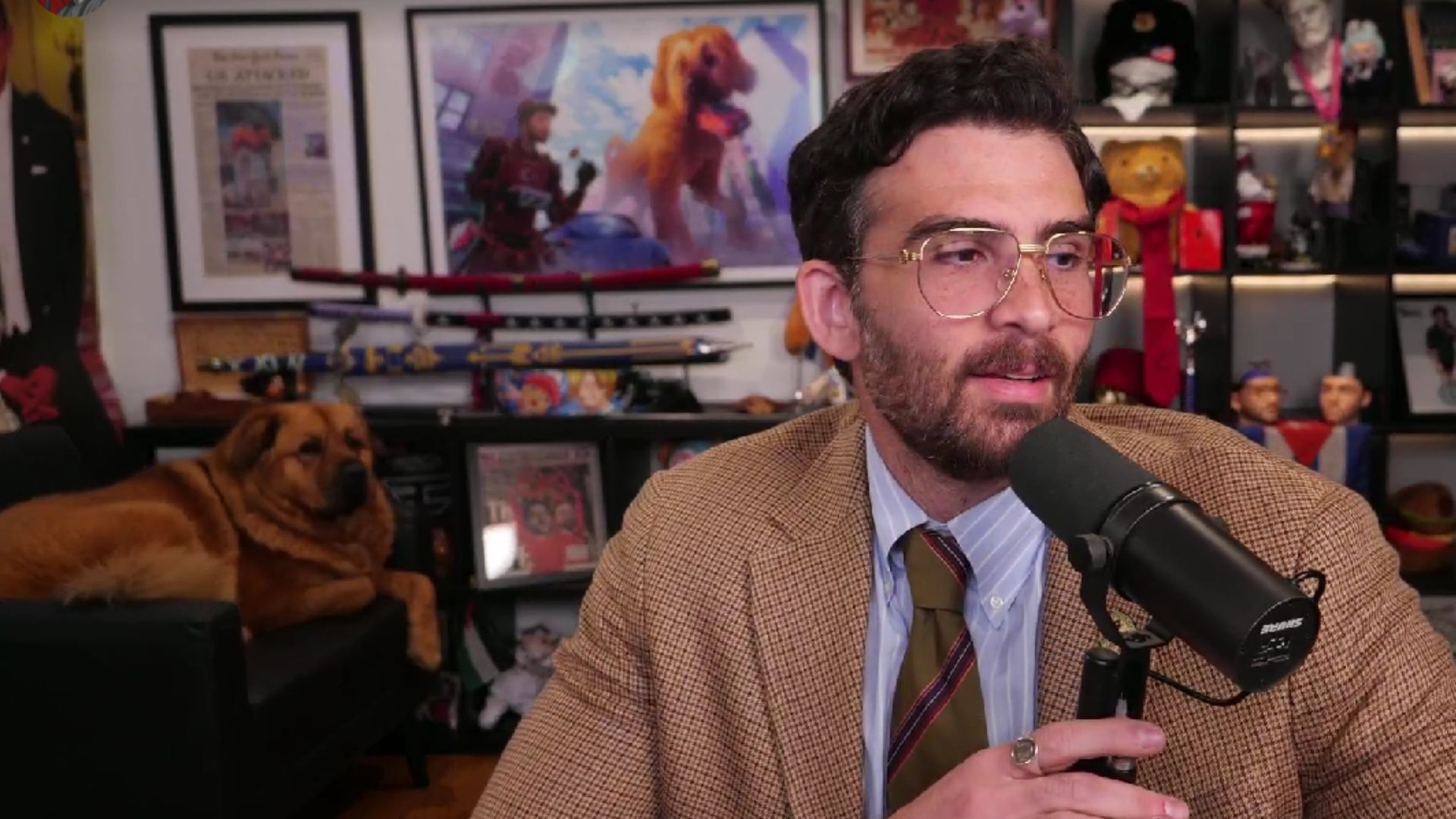 Fans react to Hasan Piker buying a new couch for his pet dog (Image via Twitch/@hasanabi)