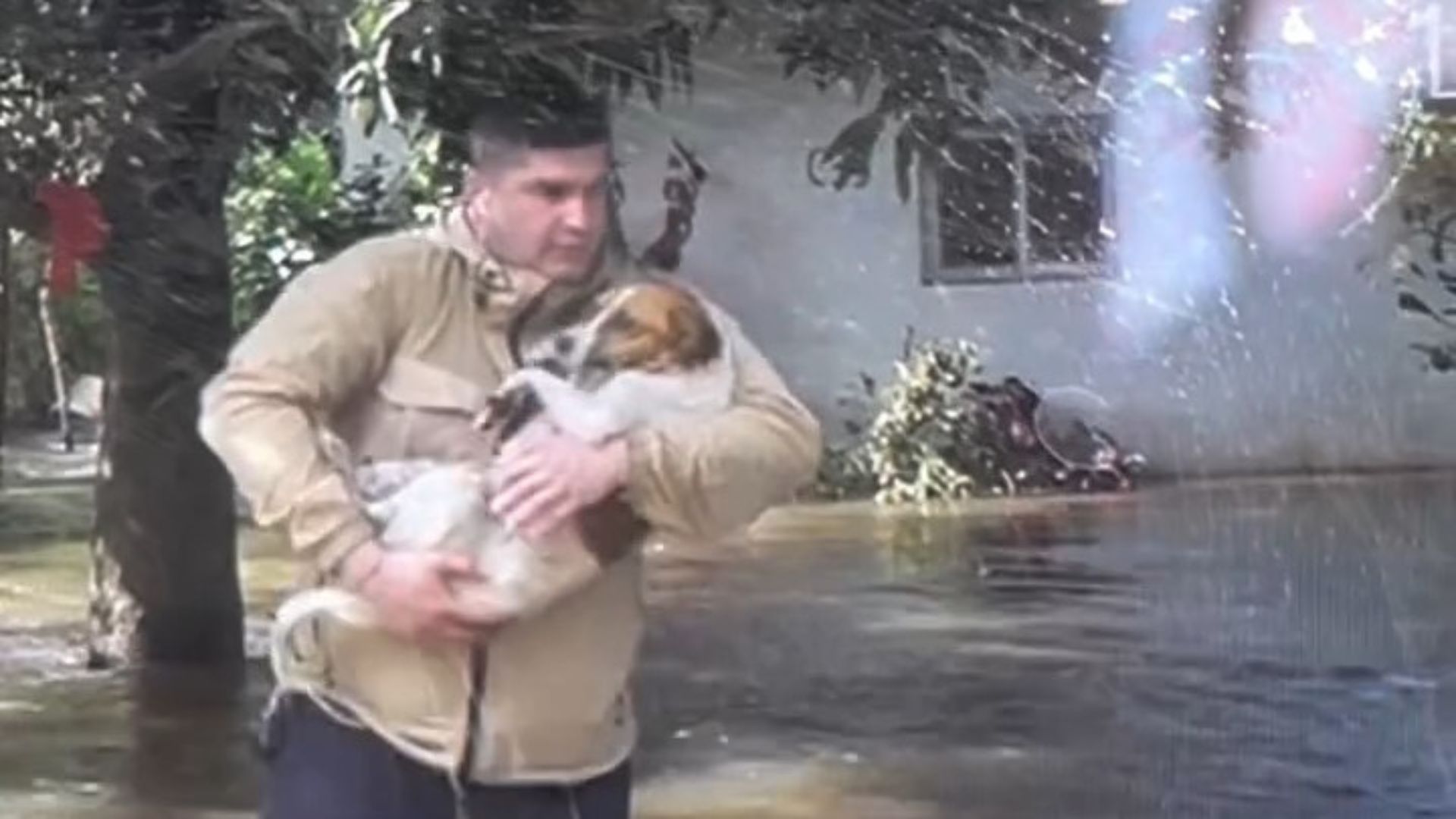 Argentine reporter saves dog during a flood (Image via Instagram/@alepueblasok || @alepueblaslp)